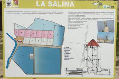 salina-calcara-trapani-festa-delle-oasi-20_05_2018-04-scaled